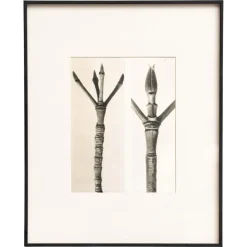 Pamono Karl Blossfeldt, Natural Grace, 1942, Photogravure, Framed> Photography
