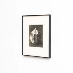 Pamono Karl Blossfeldt, Natural Grace, 1942, Photogravure, Framed