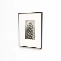 Pamono Karl Blossfeldt, Natural Grace, 1942, Photogravure, Framed> Photography