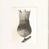 Outlet Pamono Karl Blossfeldt, Natural Grace, 1942, Photogravure, Framed