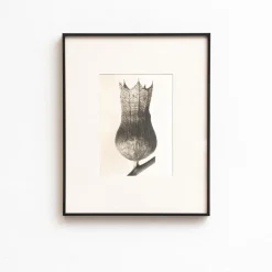Outlet Pamono Karl Blossfeldt, Natural Grace, 1942, Photogravure, Framed