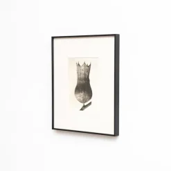 Outlet Pamono Karl Blossfeldt, Natural Grace, 1942, Photogravure, Framed
