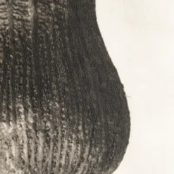 Outlet Pamono Karl Blossfeldt, Natural Grace, 1942, Photogravure, Framed