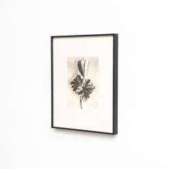 Pamono Karl Blossfeldt, Natural Grace, 1942, Photogravure, Framed><noscript><img width=