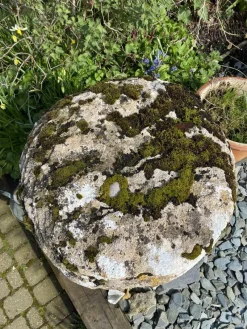 Pamono Large Antique Staddle Stone Architectural Garden Ornament, Britain, 18th Century> Garden Accessories