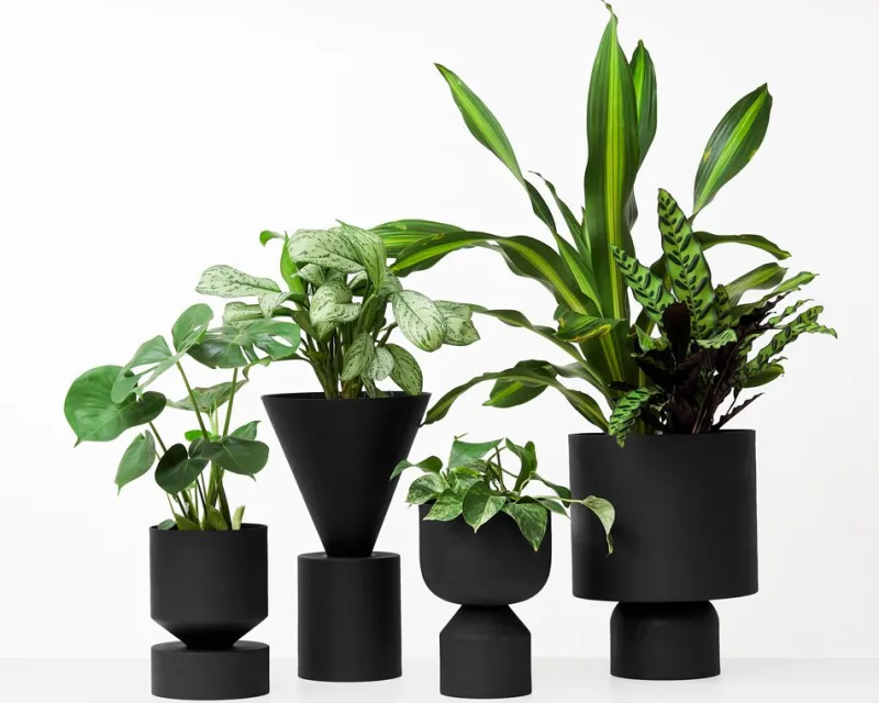 Best Pamono Large Black Ada Planter by Llot Llov