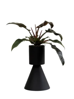 Best Pamono Large Black Ada Planter by Llot Llov