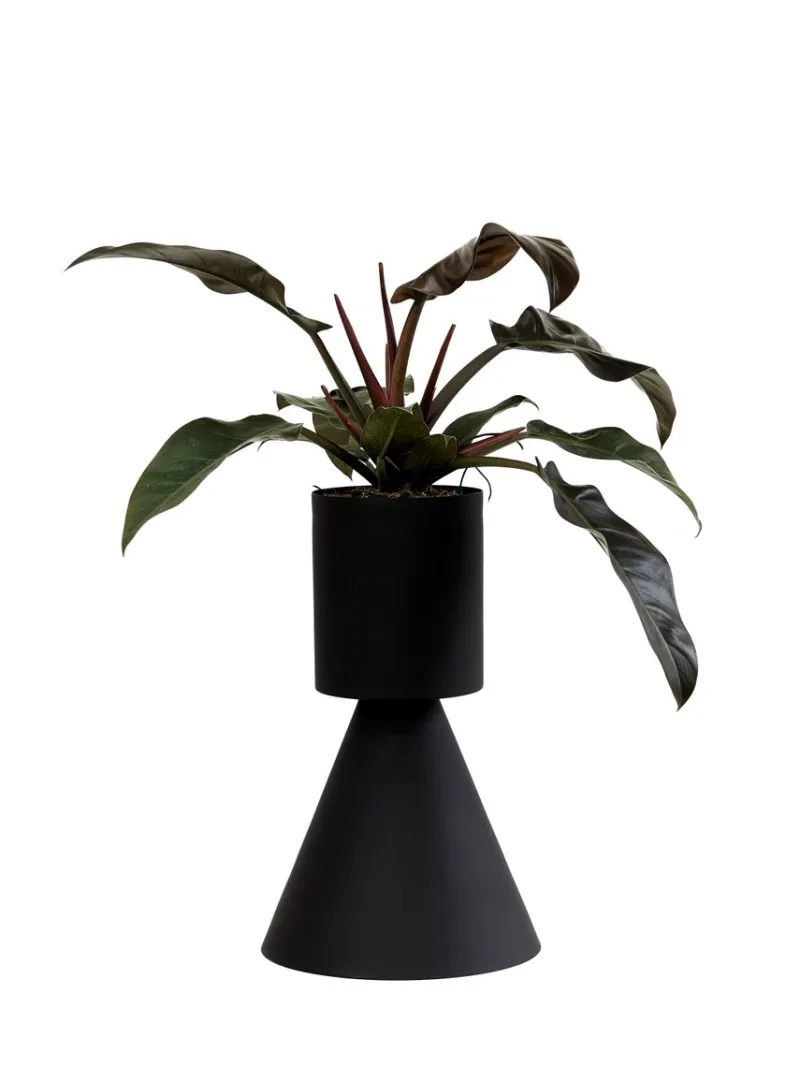 Best Pamono Large Black Ada Planter by Llot Llov