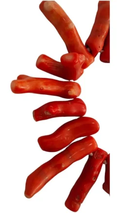 Pamono Large Bracelet with Mediterranean Coral Branches, 1950><noscript><img width=