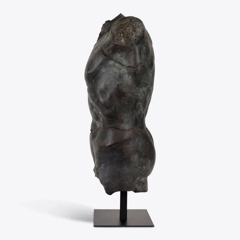 Pamono Large Bronze Maximillian Torso from Pure White Lines> Wall Decor