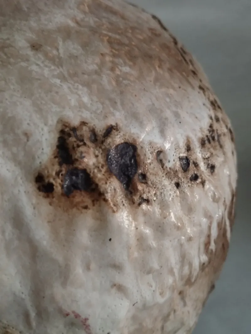 Outlet Pamono Large Fat Lava Amphora Vase from Dümler & Breiden, West Germany, 1970s