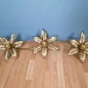 Pamono Large Floral Wall Light attributed to Willy Daro for Massive, Belgium, 1970s> Wall Lights & Sconces
