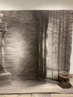 Discount Pamono Large French Photographer's Backdrop of Interior Scene, 1900s