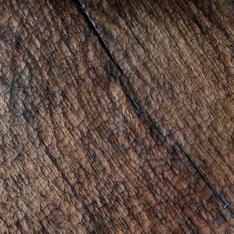 Pamono Large Oak Dish by Atelier Bloam> Tabletop|Serving Dishes