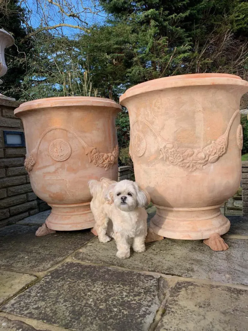 Hot Pamono Large 20th Century Handmade Terracotta Pots, Tuscany, Set of 2