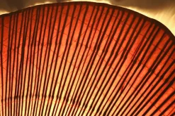 Pamono Large Uchiwa Floor Lamp by Ingo Maurer for M Design, Germany, 1977><noscript><img width=