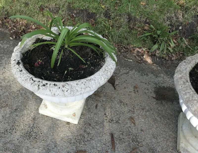 Pamono Large Weathered Cast Stone Garden Planters, 1930s, Set of 2> Garden Accessories