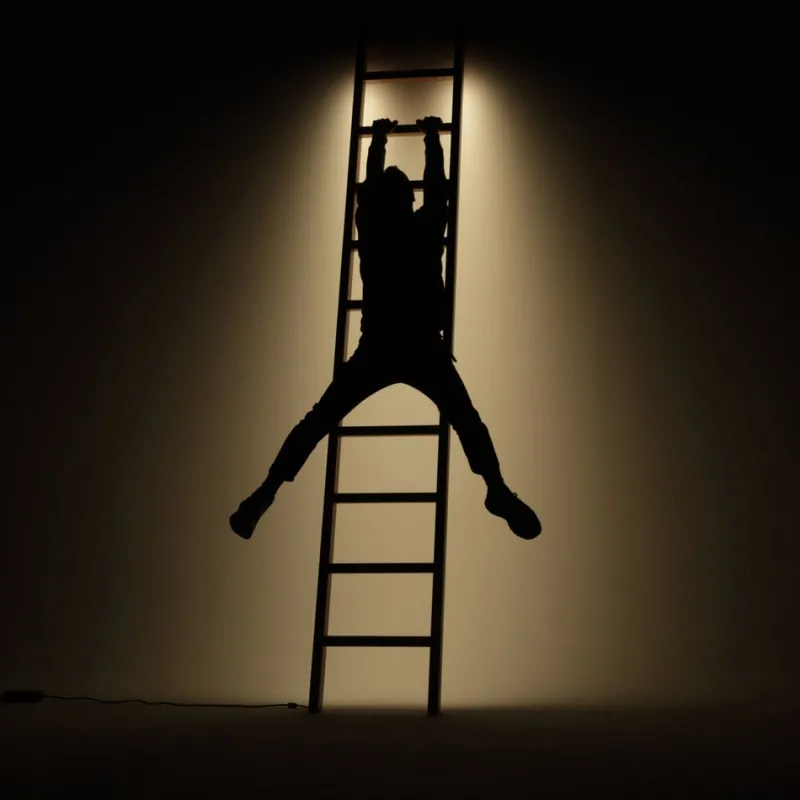 Outlet Pamono LED Line Light Ladder in Cherry by Noah Spencer