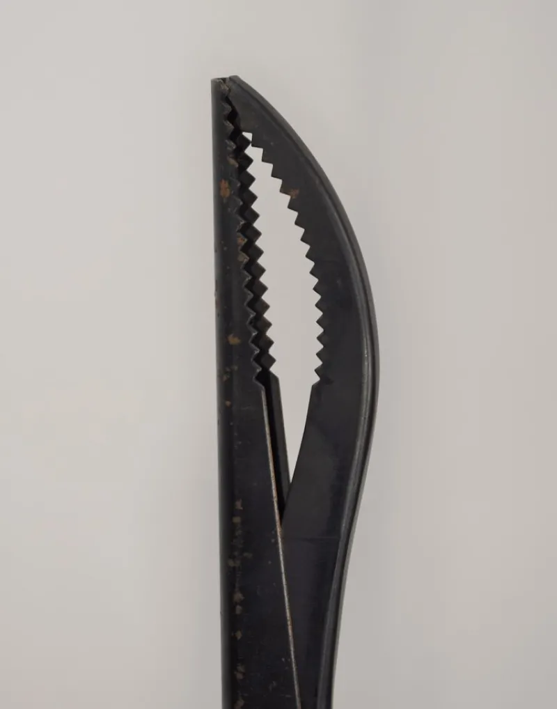 Pamono Leina Fireplace Pliers by Pep Bonet for Officina Alessi, Italy, 1980s, Set of 2> Fireplaces And Mantels