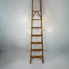 Pamono Library Ladder by Franco Albini for Poggi, 1950s> Architectural Elements