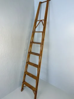 Pamono Library Ladder by Franco Albini for Poggi, 1950s> Architectural Elements