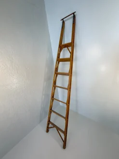 Pamono Library Ladder by Franco Albini for Poggi, 1950s><noscript><img width=