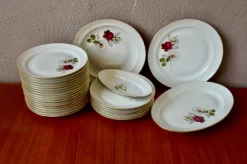 Discount Pamono Limoges Porcelain Dinner Service, 1950s, Set of 29