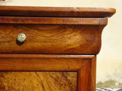 Pamono Louis Philippe Walnut and Burl Walnut Bedside Table><noscript><img width=