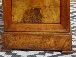 Pamono Louis Philippe Walnut and Burl Walnut Bedside Table><noscript><img width=