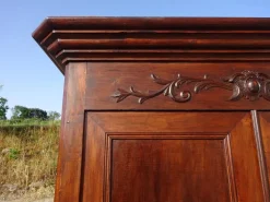 Pamono Louis Philippe Walnut Wardrobe, 1890s><noscript><img width=