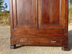 Pamono Louis Philippe Walnut Wardrobe, 1890s><noscript><img width=
