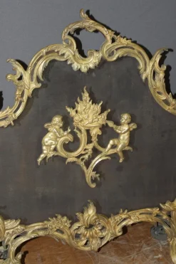 Pamono Louis XV Bronze Fireplace Screen, 1800s