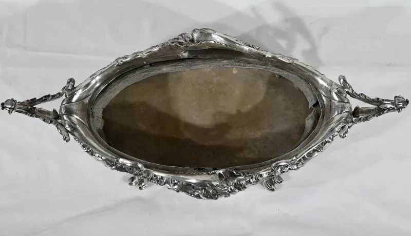 Pamono Louis XV Style Silver Bronze Planter, 19th Century> Planters And Jardiniere