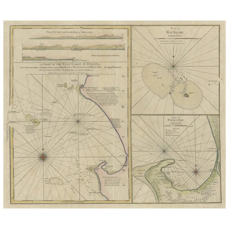 Pamono Map of British Spice Trading, 1797> Wall Decor