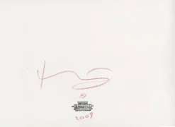 Pamono Marilyn Monroe . Passed out on the bed . The last sitting 2009> Photography