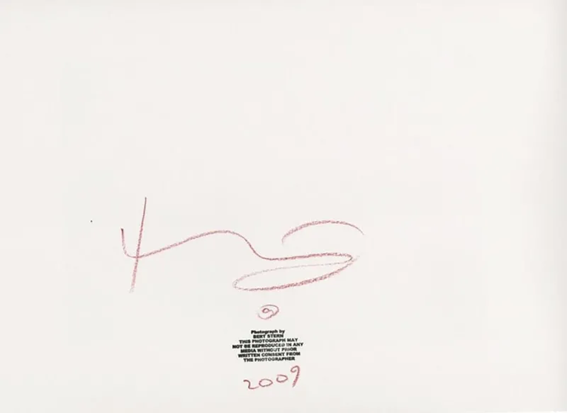 Pamono Marilyn Monroe . Passed out on the bed . The last sitting 2009> Photography