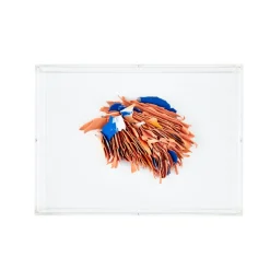 Pamono Martine Thoelen, We All Make Choices, 2018> Wall Decor