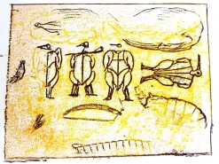 Outlet Pamono Max Ernst - The Soldier - Original Lithograph 1972