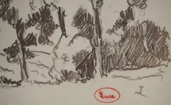 Online Pamono Maximilien Luce, Normandy, Forest in Summer, Original Signed Drawing
