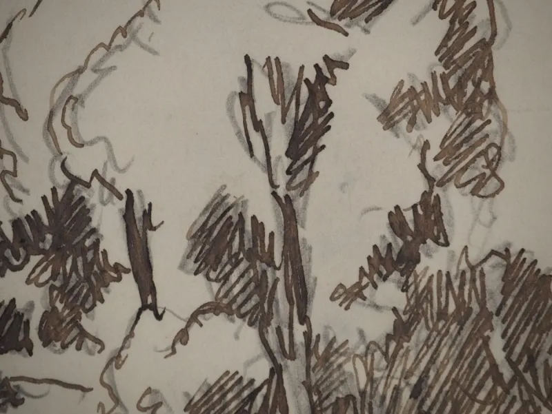 Online Pamono Maximilien Luce, Normandy, Forest in Summer, Original Signed Drawing