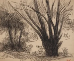 Pamono Maximilien Luce, Pas de Calais, Nature in Méricourt, Original Drawing