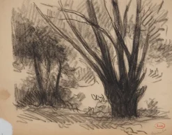 Pamono Maximilien Luce, Pas de Calais, Nature in Méricourt, Original Drawing