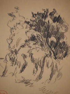 Pamono Maximilien Luce, Roadside Vegetation, Original Signed Drawing><noscript><img width=