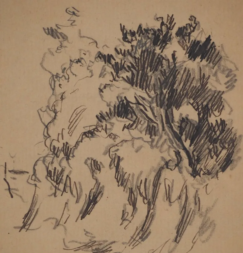 Pamono Maximilien Luce, Roadside Vegetation, Original Signed Drawing> Work On Paper