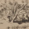 Pamono Maximilien Luce, Study of a Tree, Original Signed Drawing> Work On Paper