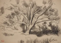Pamono Maximilien Luce, Study of a Tree, Original Signed Drawing><noscript><img width=