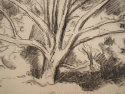 Pamono Maximilien Luce, Study of a Tree, Original Signed Drawing><noscript><img width=