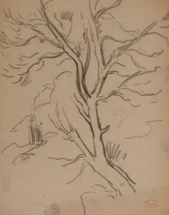 Pamono Maximilien Luce, Tree Branch, Original Signed Drawing> Work On Paper
