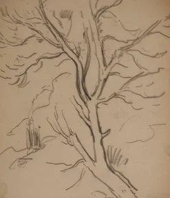 Pamono Maximilien Luce, Tree Branch, Original Signed Drawing><noscript><img width=