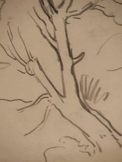 Pamono Maximilien Luce, Tree Branch, Original Signed Drawing><noscript><img width=